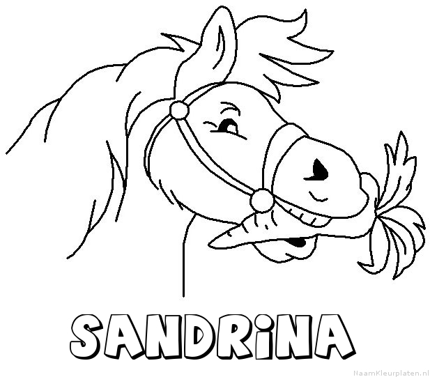 Sandrina paard van sinterklaas kleurplaat