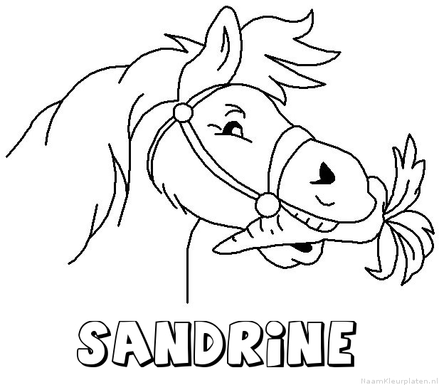 Sandrine paard van sinterklaas