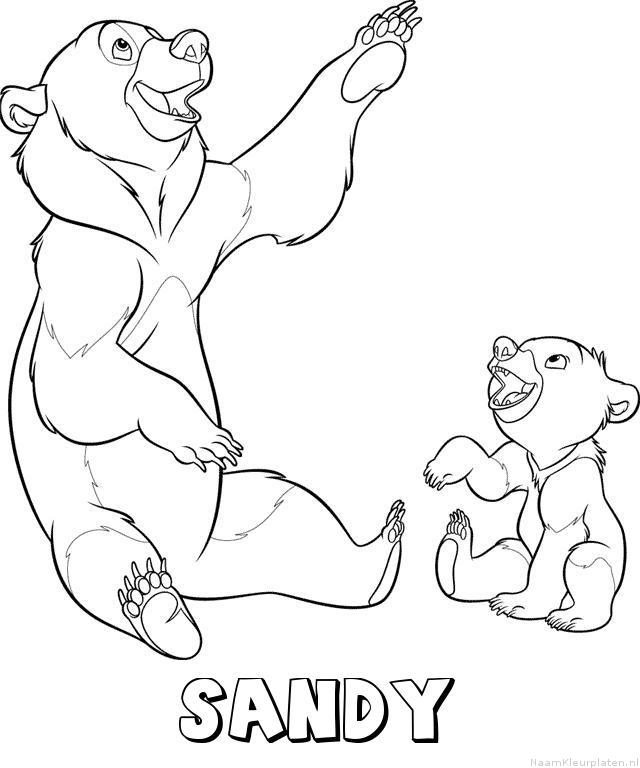 Sandy brother bear kleurplaat