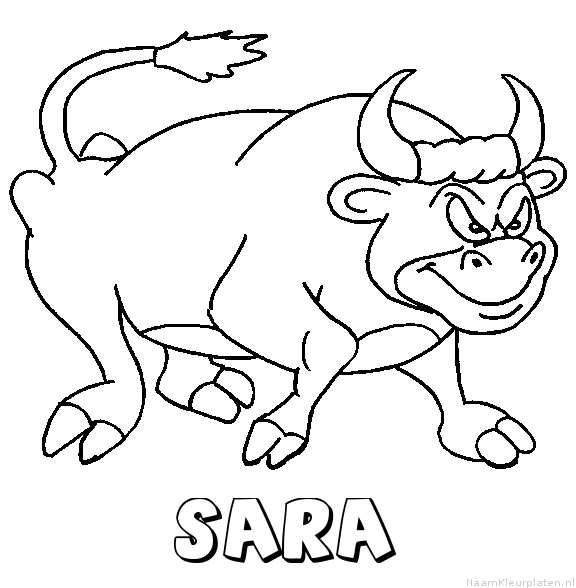 Sara stier