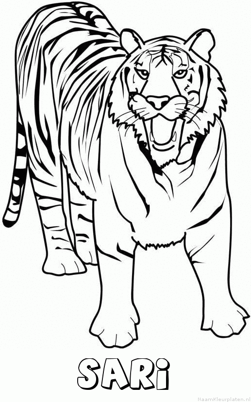 Sari tijger 2 kleurplaat