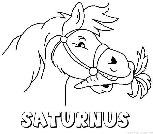 Saturnus paard van sinterklaas