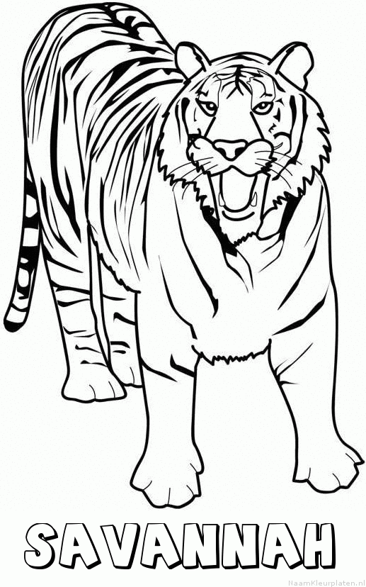 Savannah tijger 2 kleurplaat