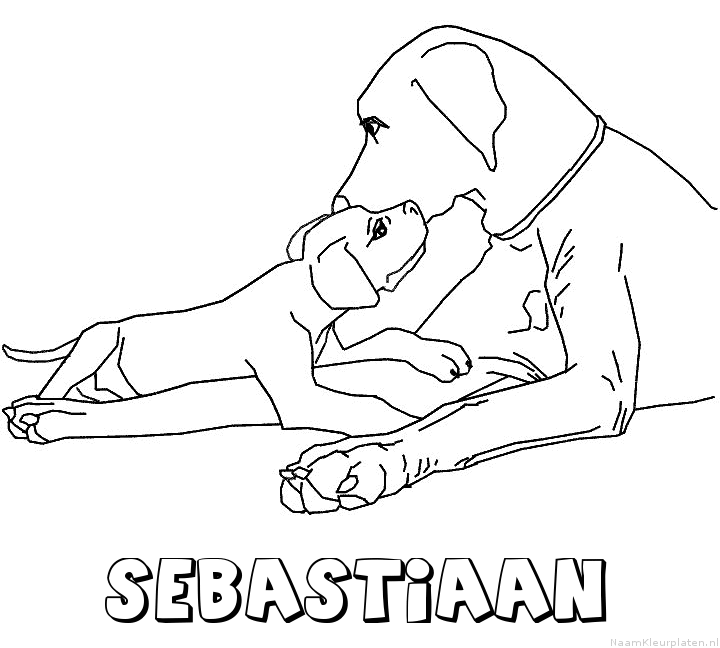 Sebastiaan hond puppy kleurplaat