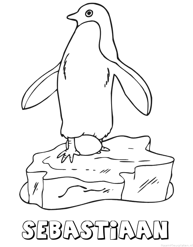 Sebastiaan pinguin kleurplaat