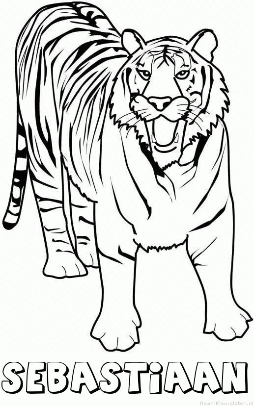 Sebastiaan tijger 2 kleurplaat