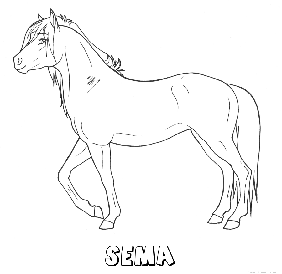 Sema paard kleurplaat