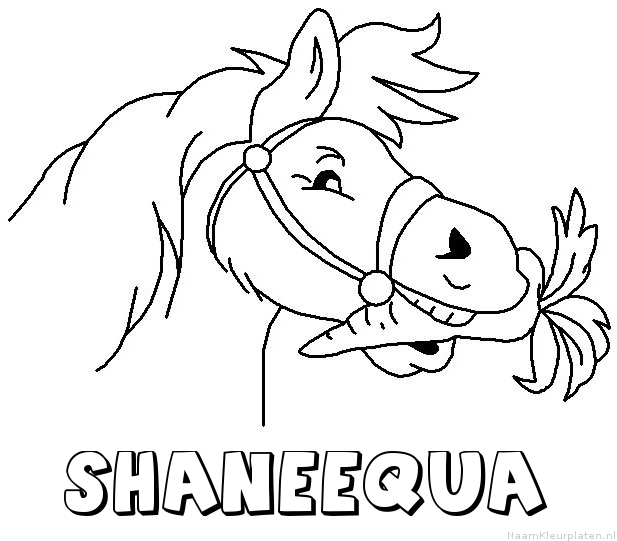 Shaneequa paard van sinterklaas kleurplaat