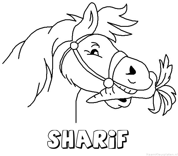 Sharif paard van sinterklaas kleurplaat
