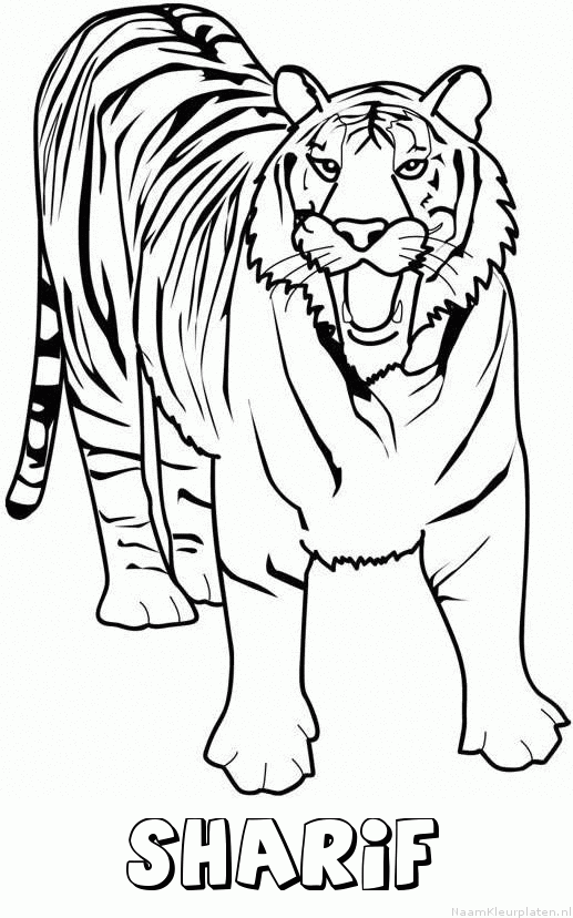 Sharif tijger 2 kleurplaat
