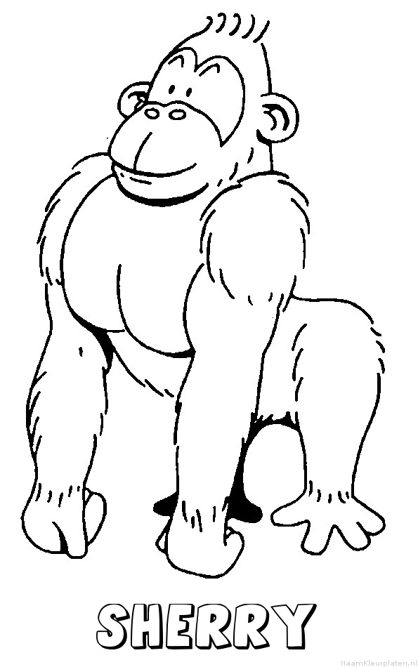 Sherry aap gorilla