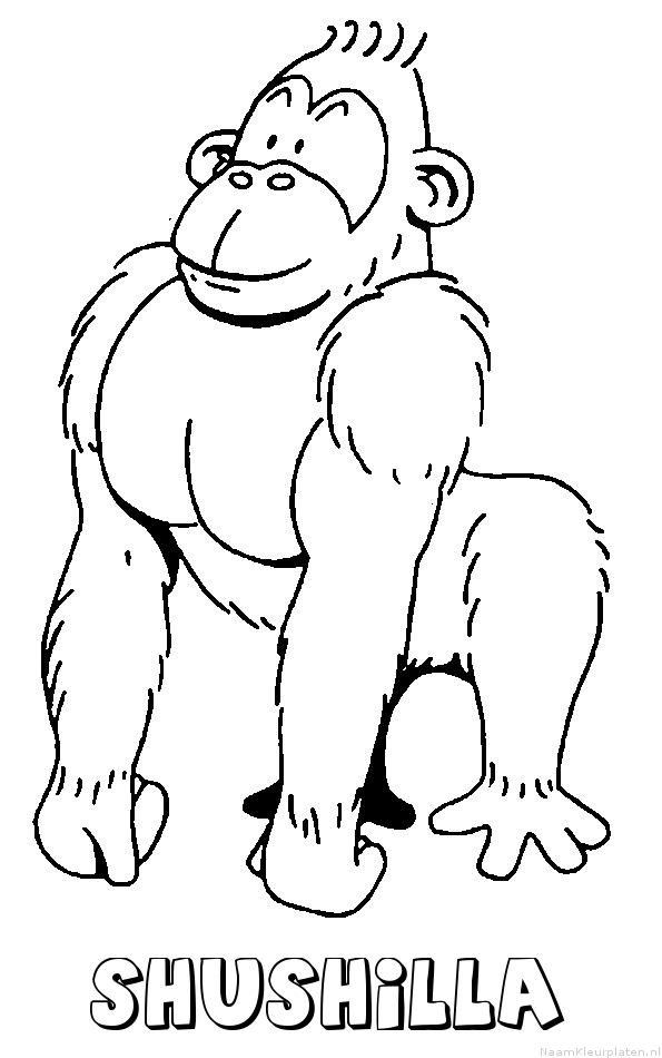Shushilla aap gorilla
