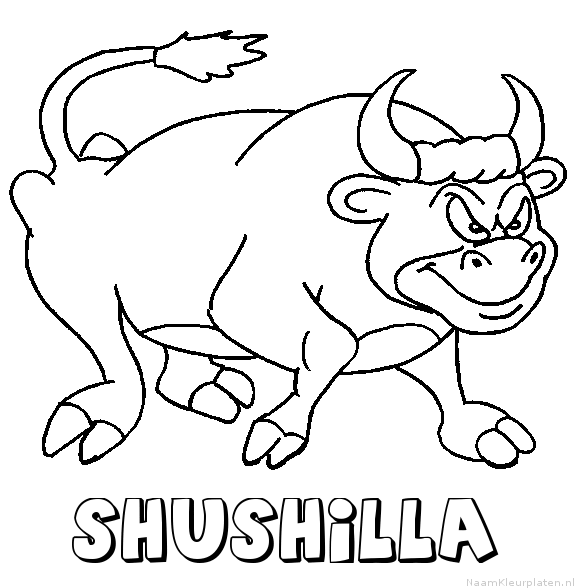 Shushilla stier