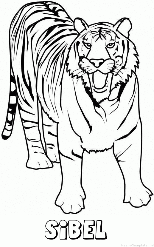Sibel tijger 2 kleurplaat