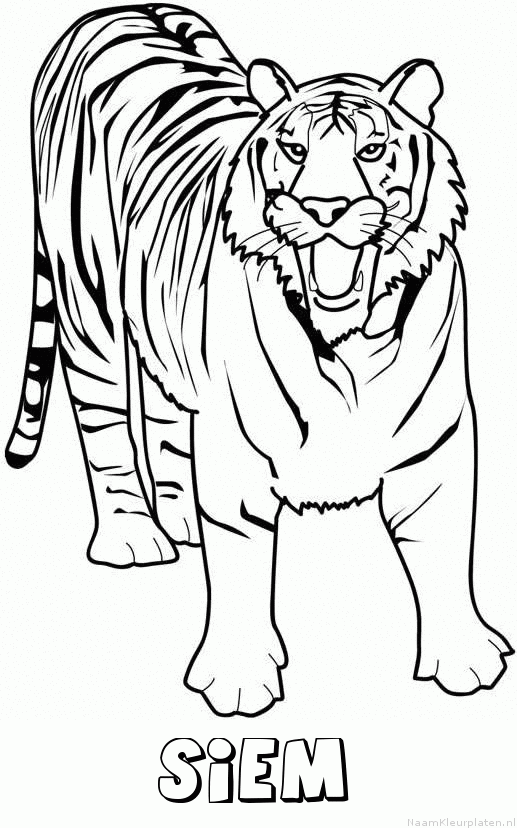 Siem tijger 2 kleurplaat