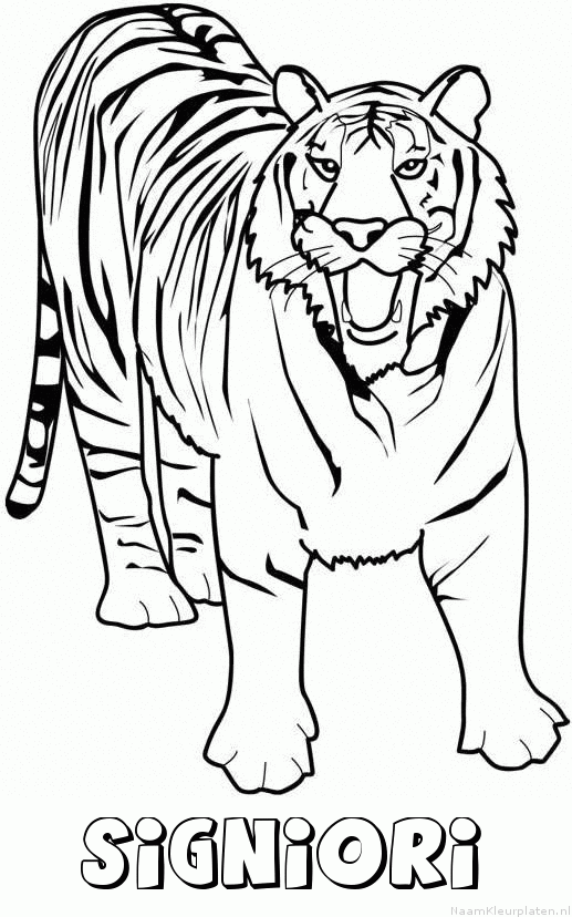 Signiori tijger 2 kleurplaat
