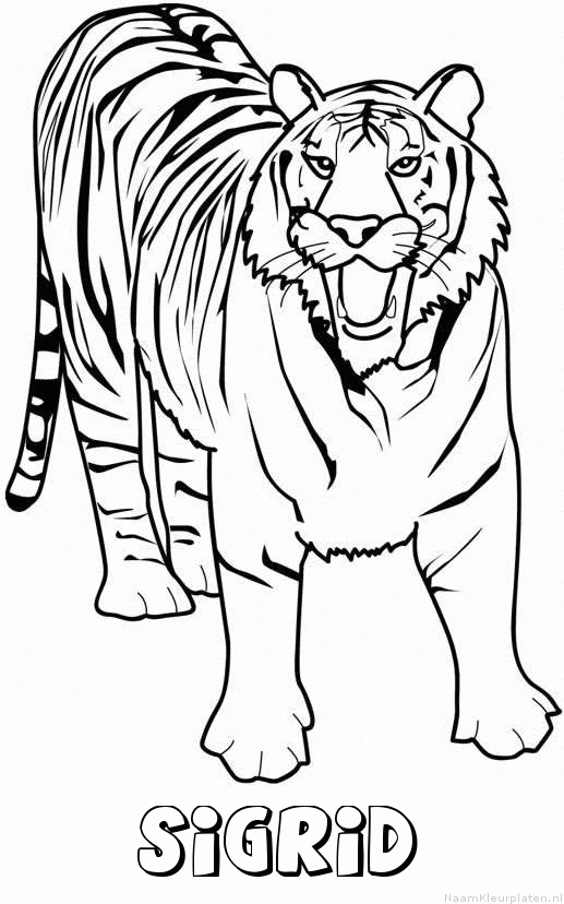 Sigrid tijger 2 kleurplaat