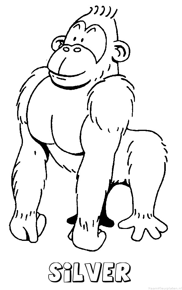 Silver aap gorilla