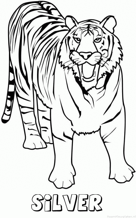 Silver tijger 2 kleurplaat
