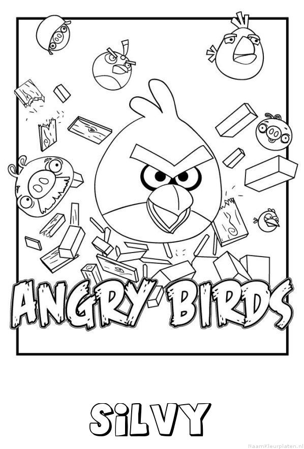 Silvy angry birds