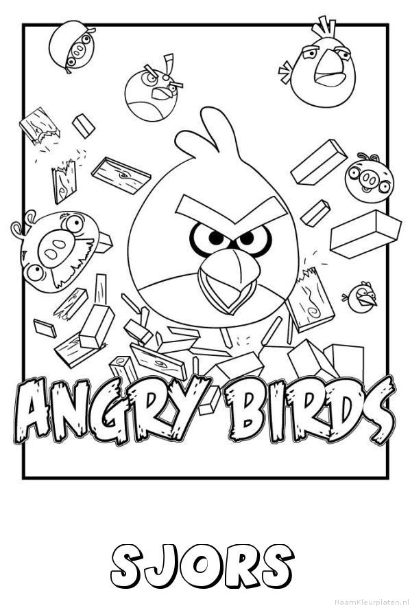 Sjors angry birds