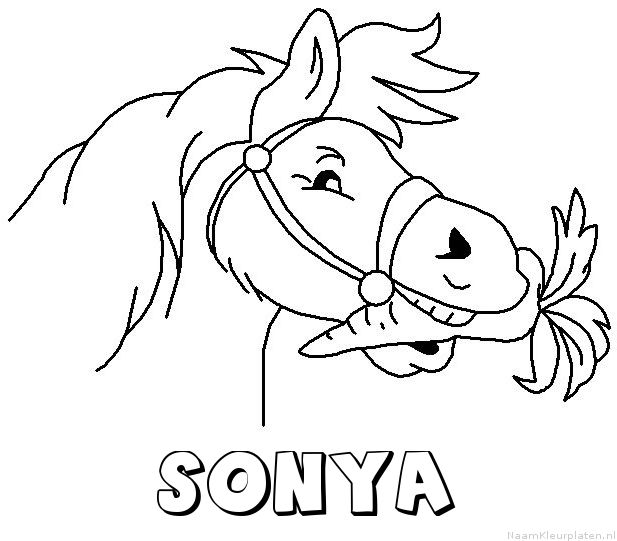 Sonya paard van sinterklaas kleurplaat