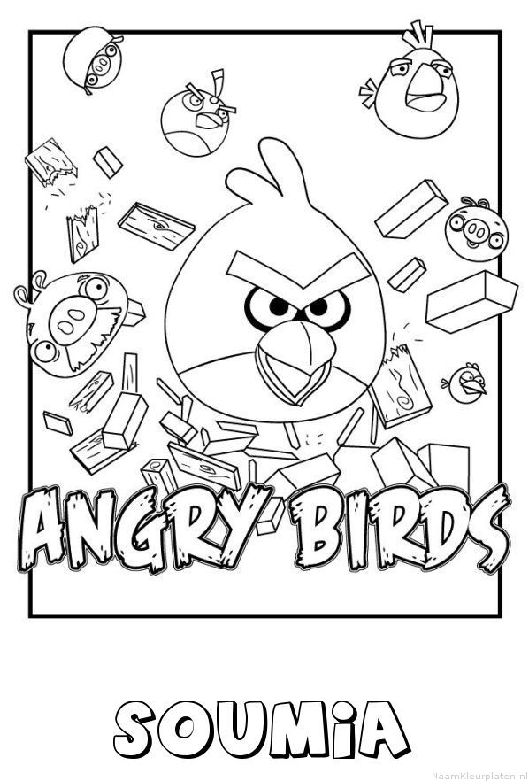 Soumia angry birds