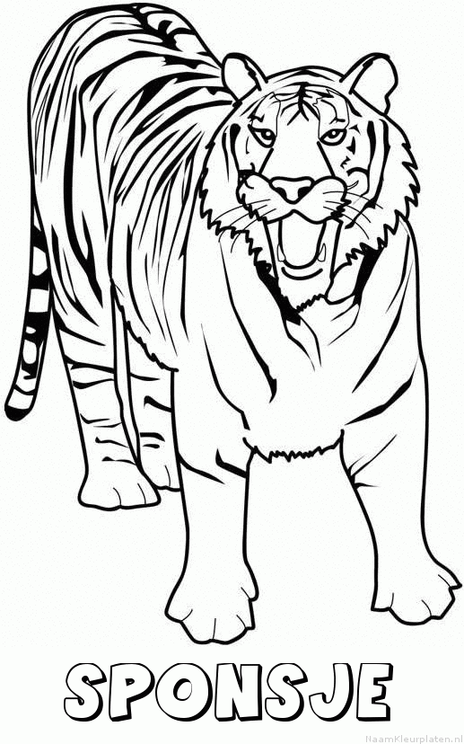 Sponsje tijger 2 kleurplaat