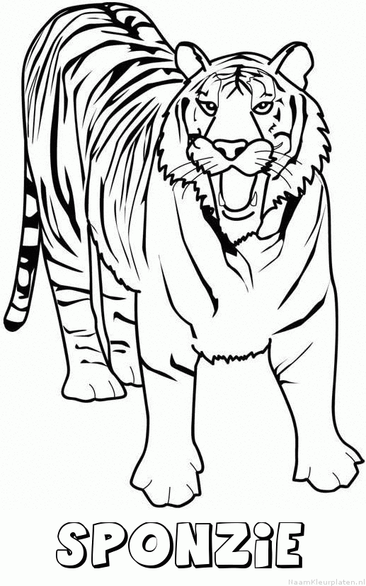 Sponzie tijger 2 kleurplaat