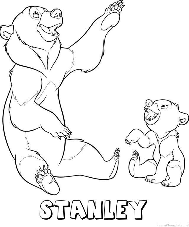 Stanley brother bear