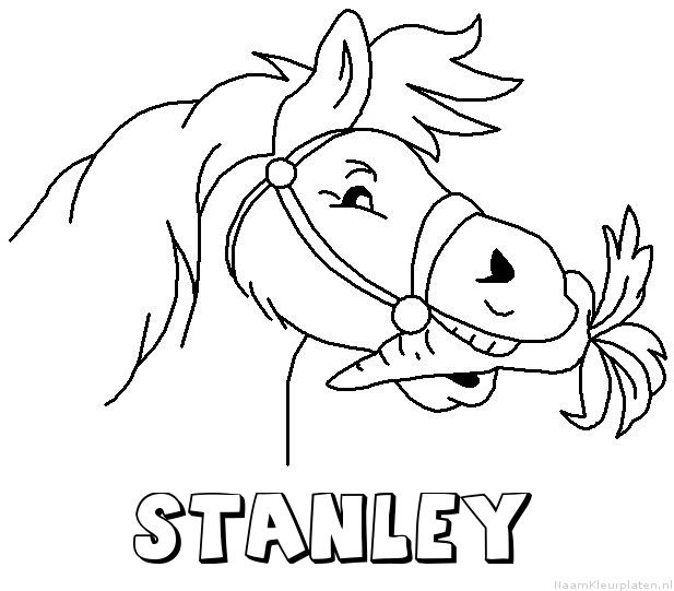 Stanley paard van sinterklaas