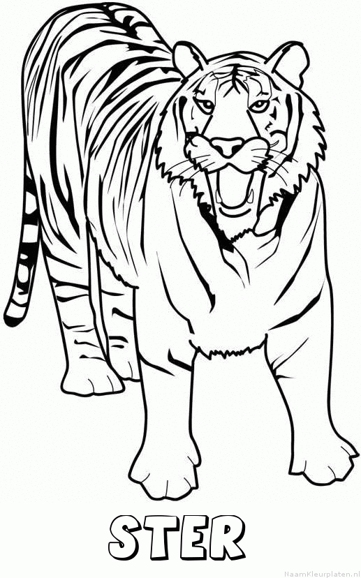 Ster tijger 2 kleurplaat