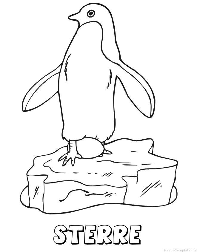Sterre pinguin kleurplaat