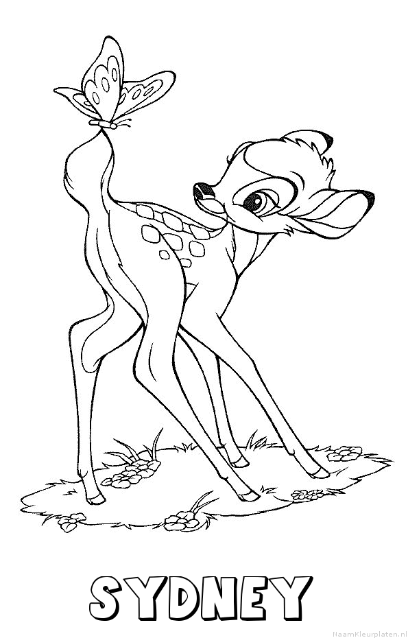 Sydney bambi