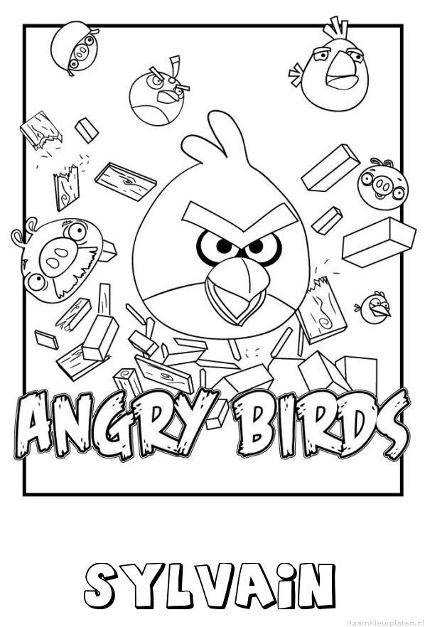 Sylvain angry birds