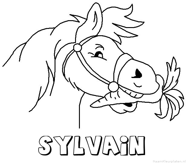 Sylvain paard van sinterklaas kleurplaat