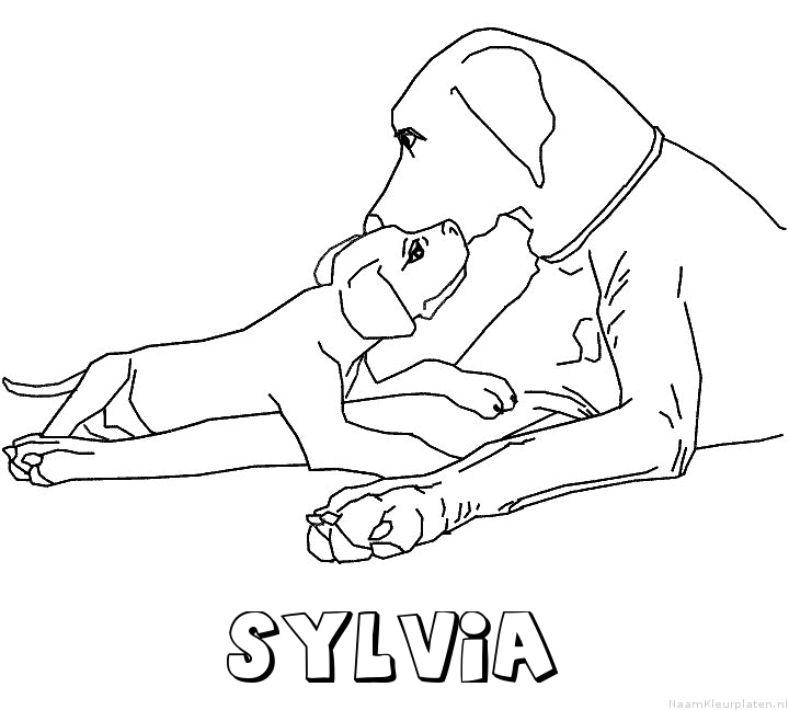 Sylvia hond puppy