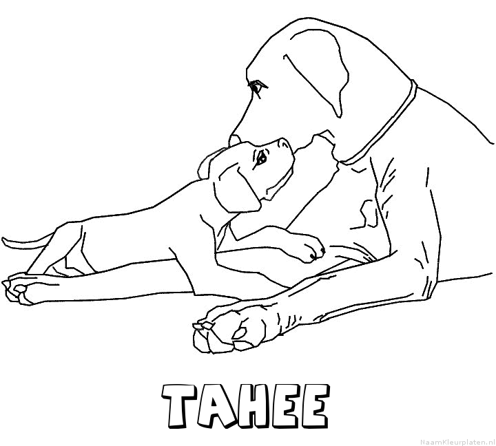 Tahee hond puppy kleurplaat