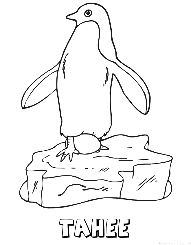 Tahee pinguin