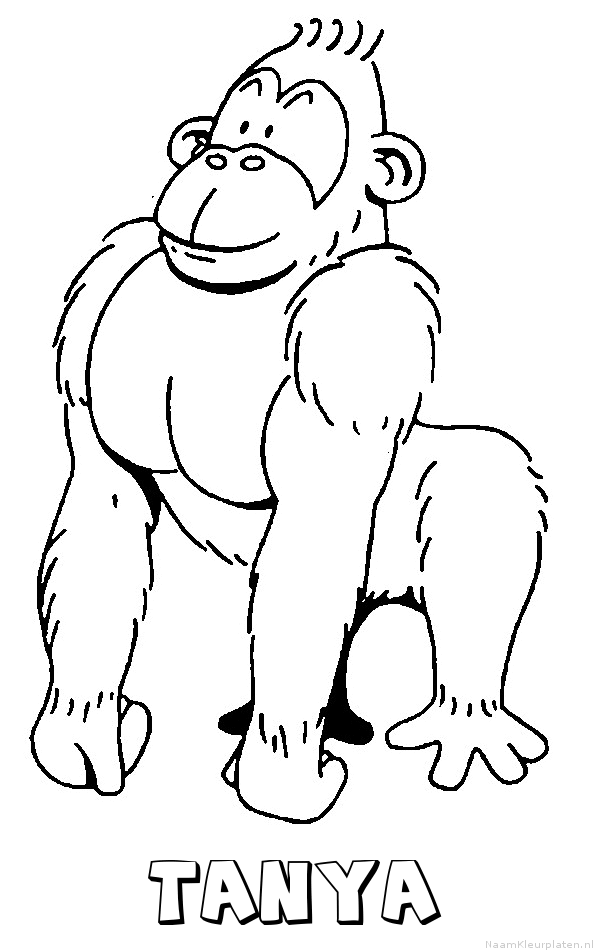 Tanya aap gorilla