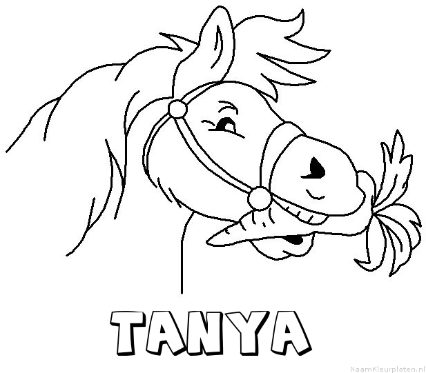 Tanya paard van sinterklaas