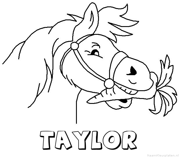 Taylor paard van sinterklaas kleurplaat