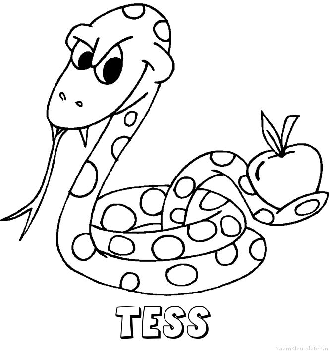 Tess slang