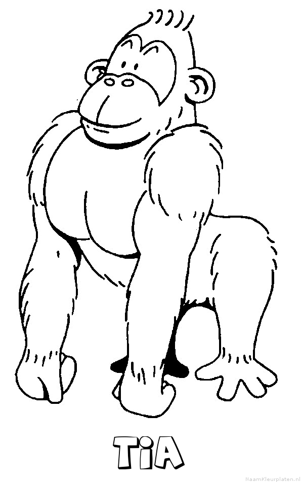 Tia aap gorilla