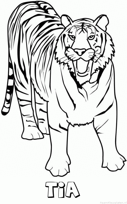 Tia tijger 2