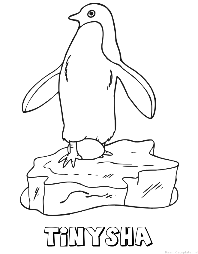 Tinysha pinguin
