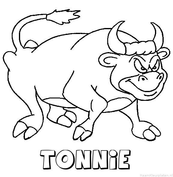 Tonnie stier