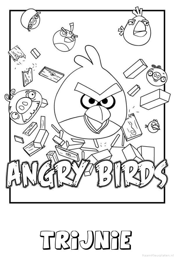 Trijnie angry birds