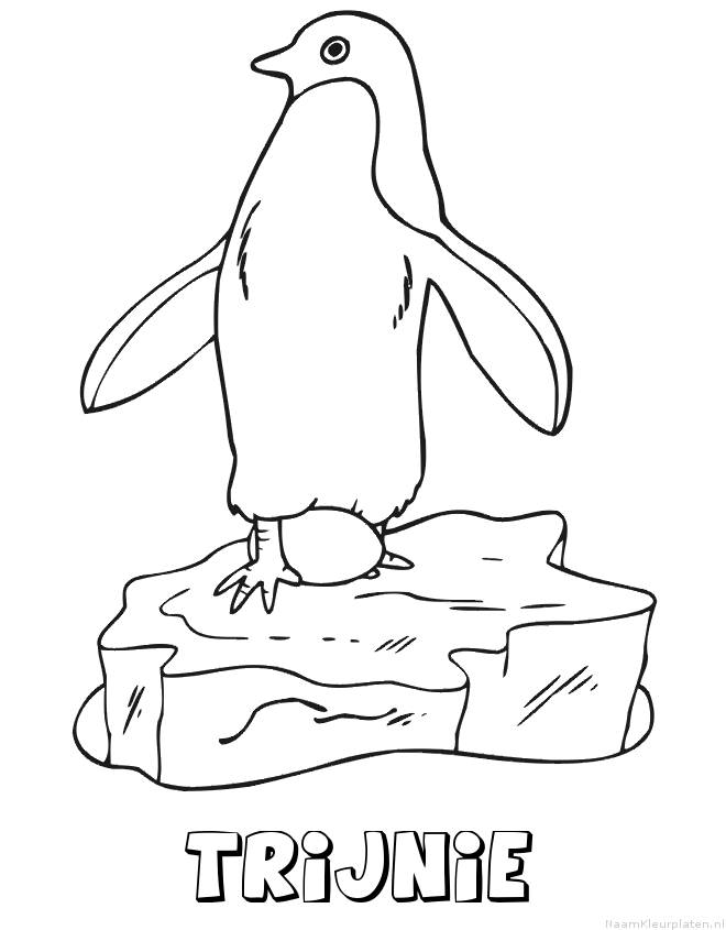 Trijnie pinguin kleurplaat