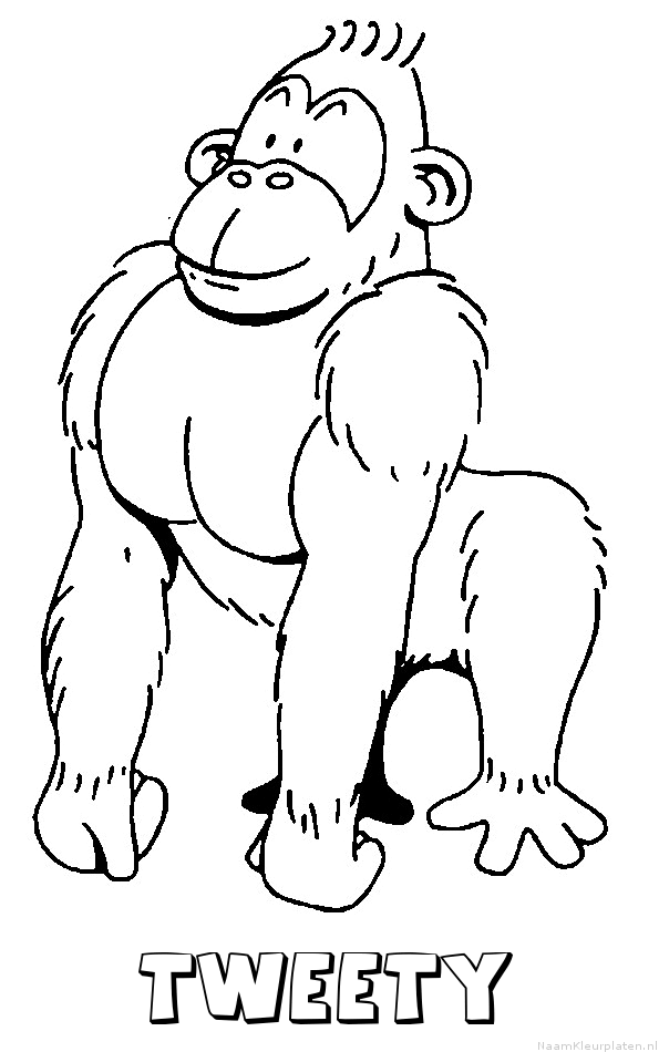 Tweety aap gorilla